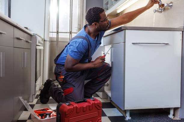 Best Local Plumber Services  in USA